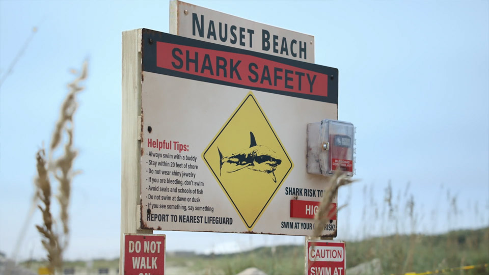 S2E1-nauset-now-you-see-it